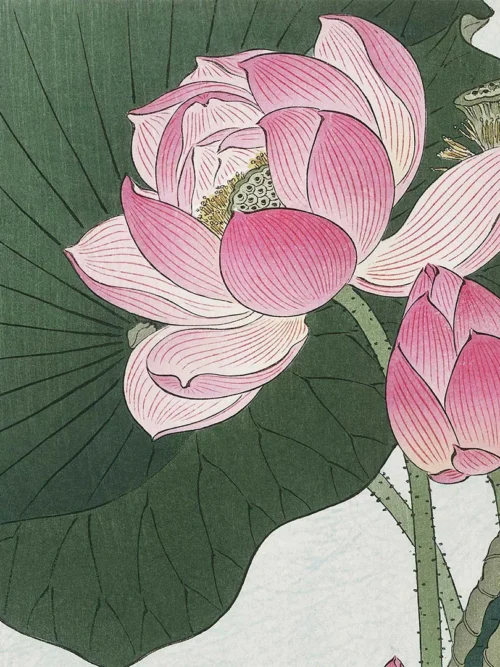 Poduszka Kwitnący kwiat lotosu 20x20 cm