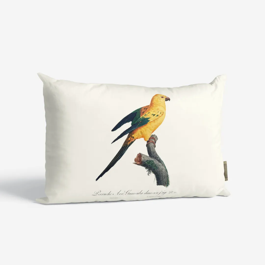 Poduszka - Sun parakeet - obrazek 4