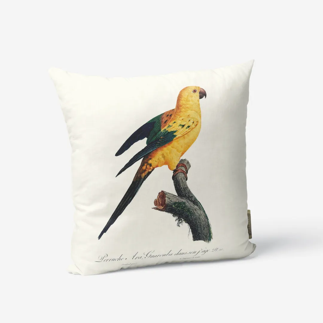 Poduszka - Sun parakeet