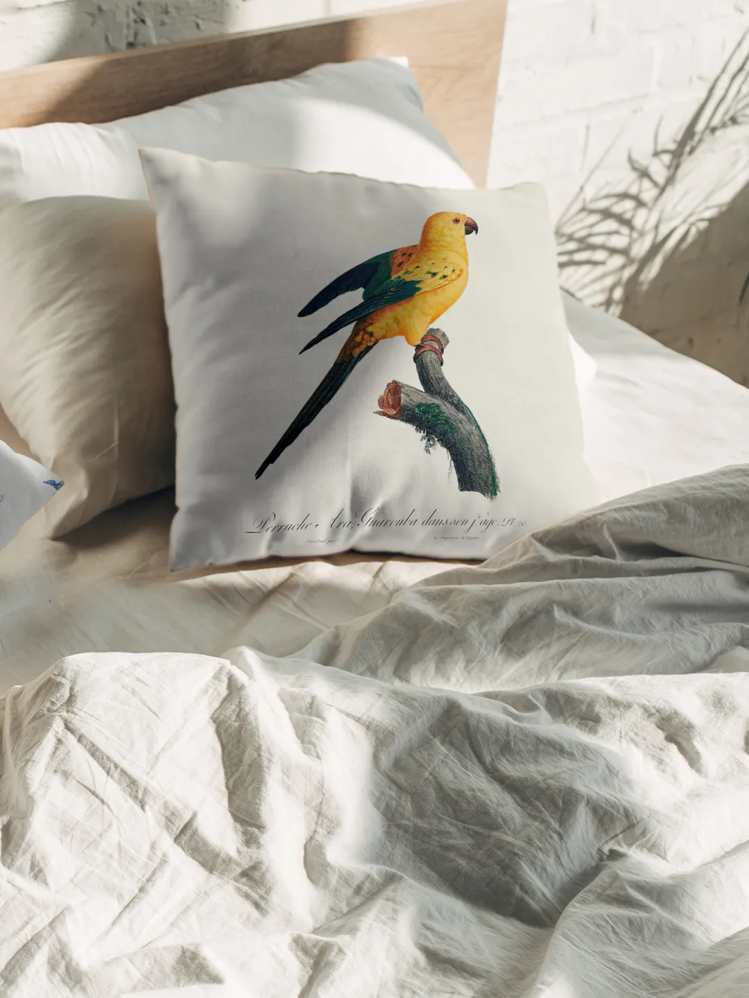 Poduszka - Sun parakeet - obrazek 3
