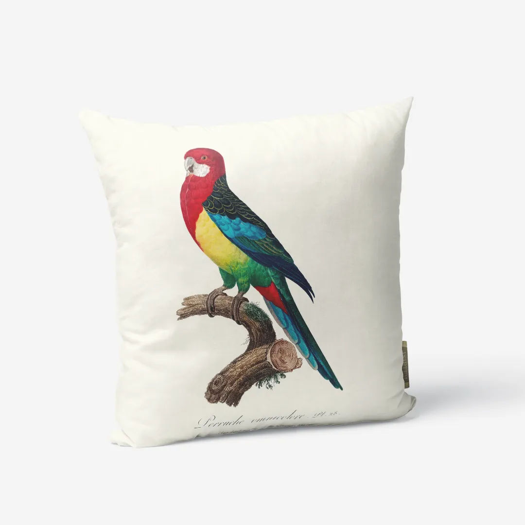 Poduszka - Wschodnia Rosella