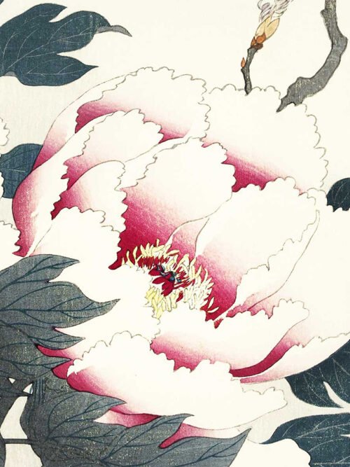 Poduszka na krzesło Piwonia 20x20 cm