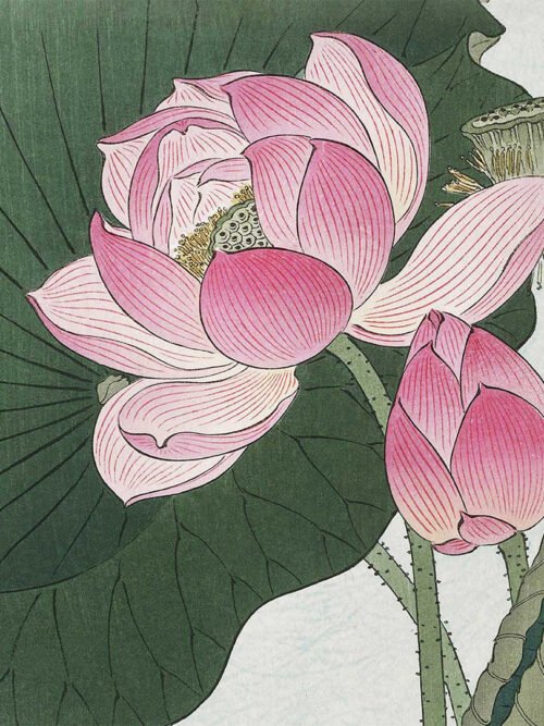 Poduszka na krzesło Kwitnący kwiat lotosu 20x20 cm