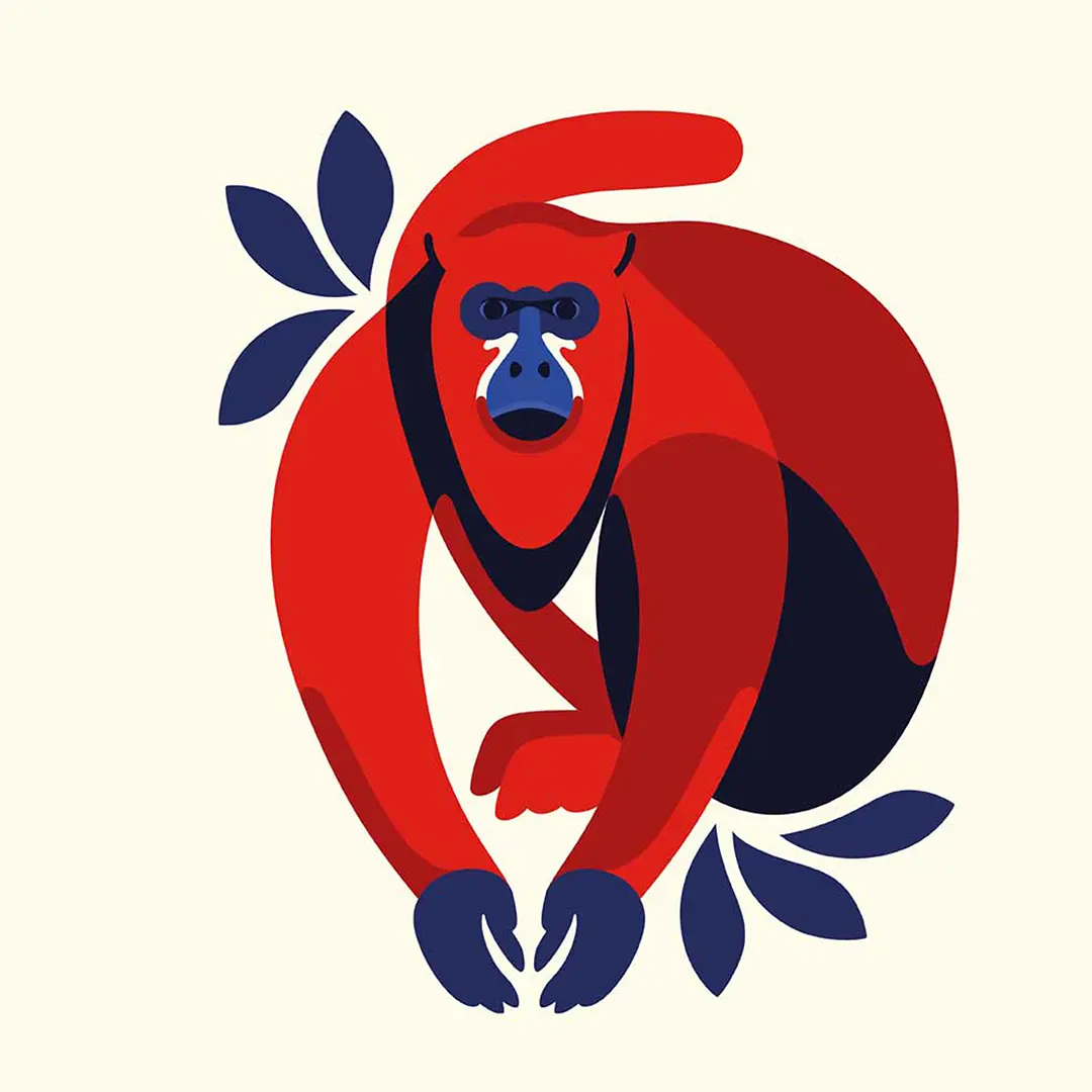 Podkładki - Howler monkey - obrazek 2
