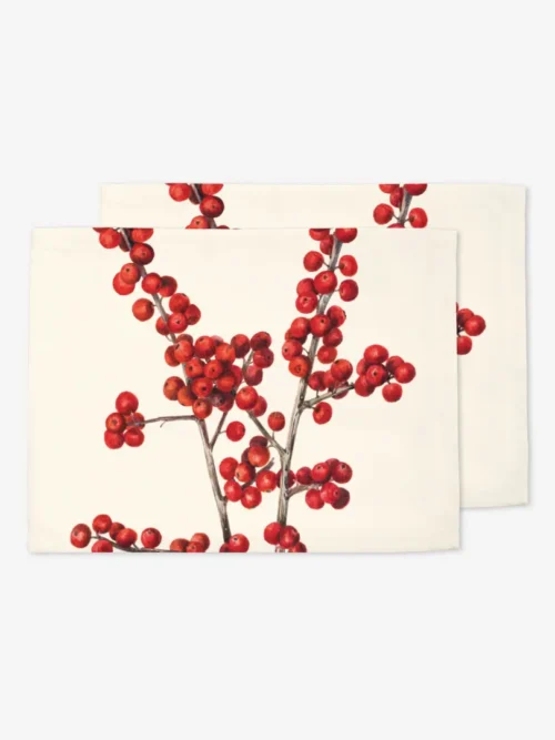 Podkładki Ostrokrzew 35x45 cm