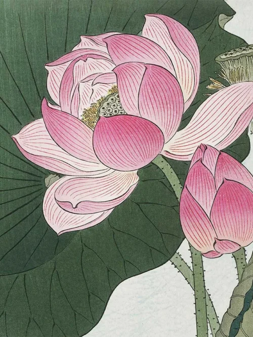 Serwetki Kwitnący kwiat lotosu 20x20 cm