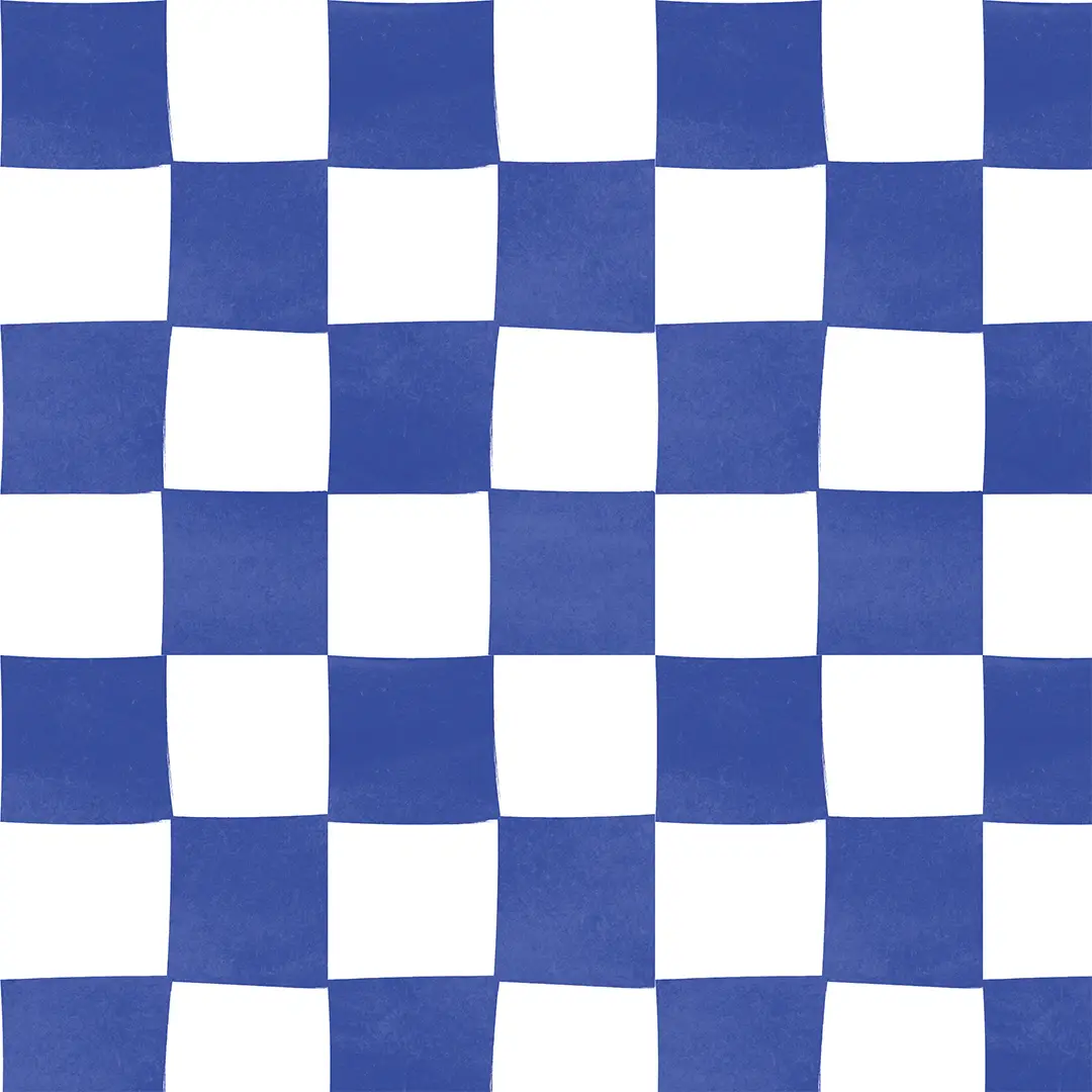 Ręcznik kuchenny - niebieska krata - obrazek 2