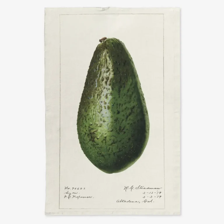 Ręcznik kuchenny całe awokado 50x70 cm