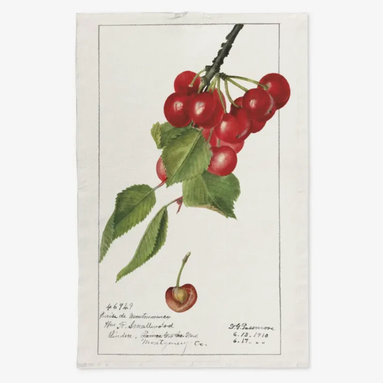 Ręcznik kuchenny wiśnie 50x70 cm