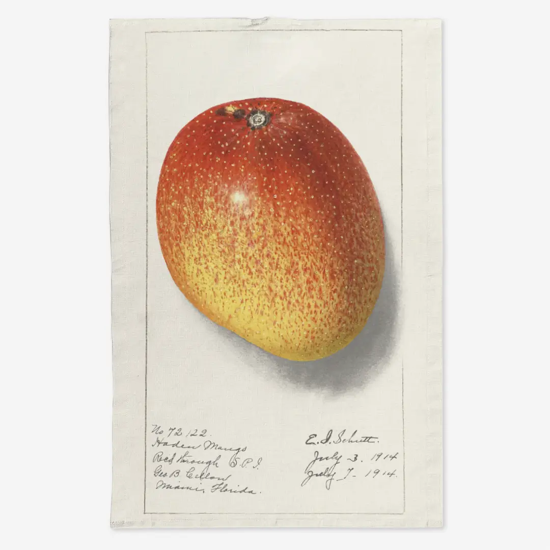 Ręcznik kuchenny - mango 1
