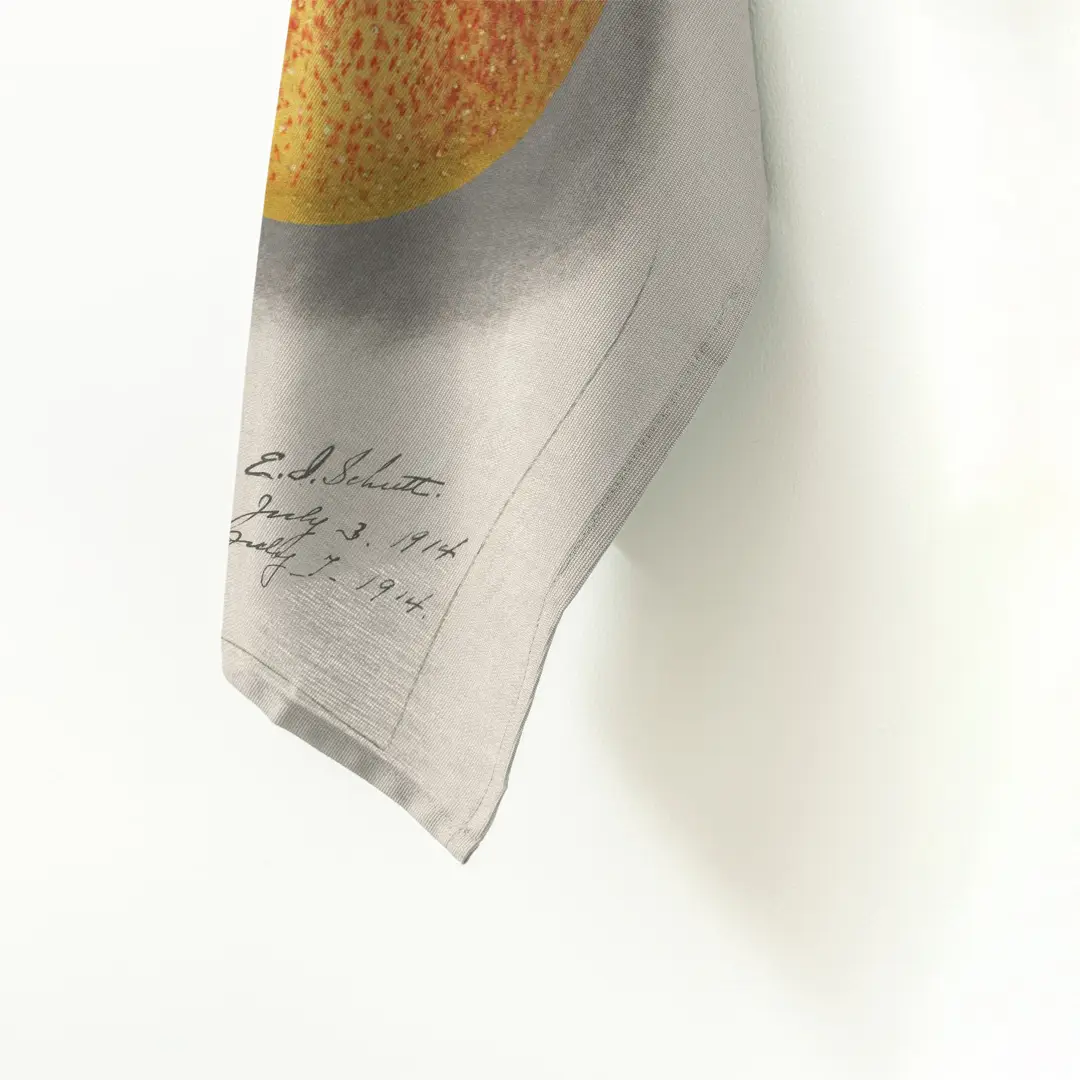 Ręcznik kuchenny - mango 1 - obrazek 3