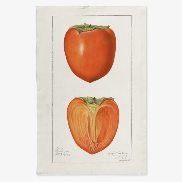 Ręcznik kuchenny persymona 50x70 cm