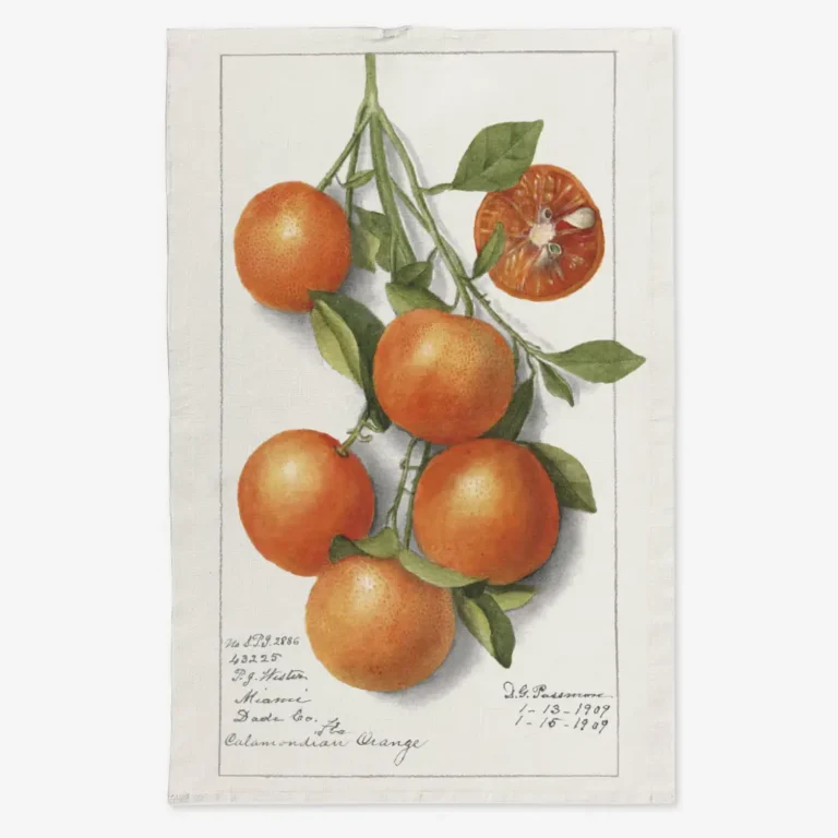 Ręcznik kuchenny gałąź pomarańczy 50x70 cm