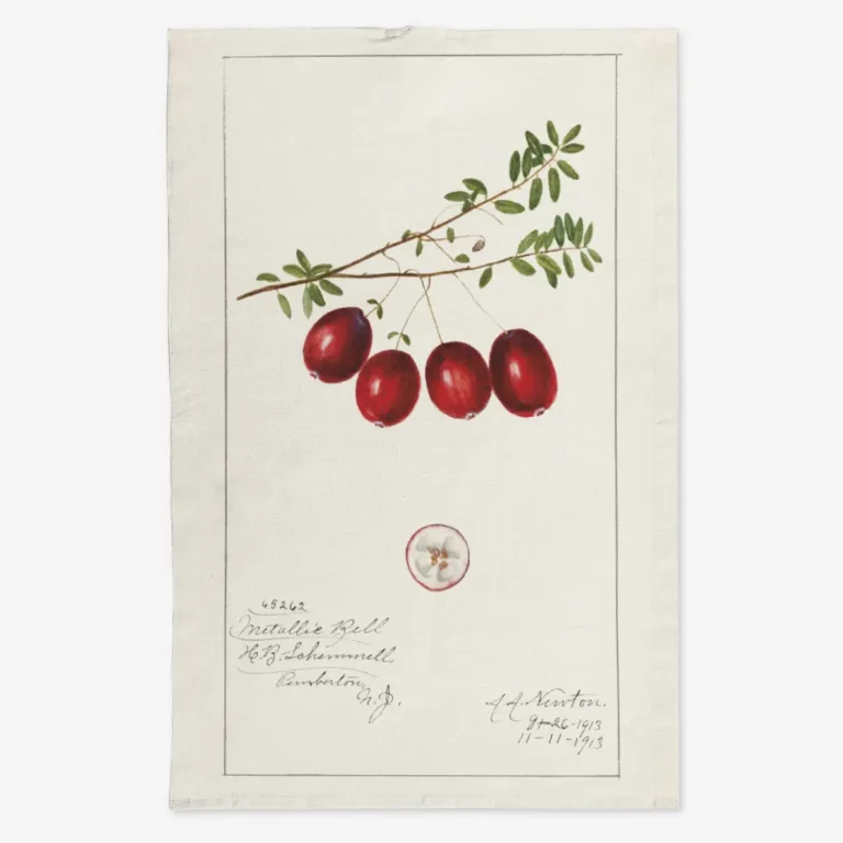 Ręcznik kuchenny żurawina 50x70 cm