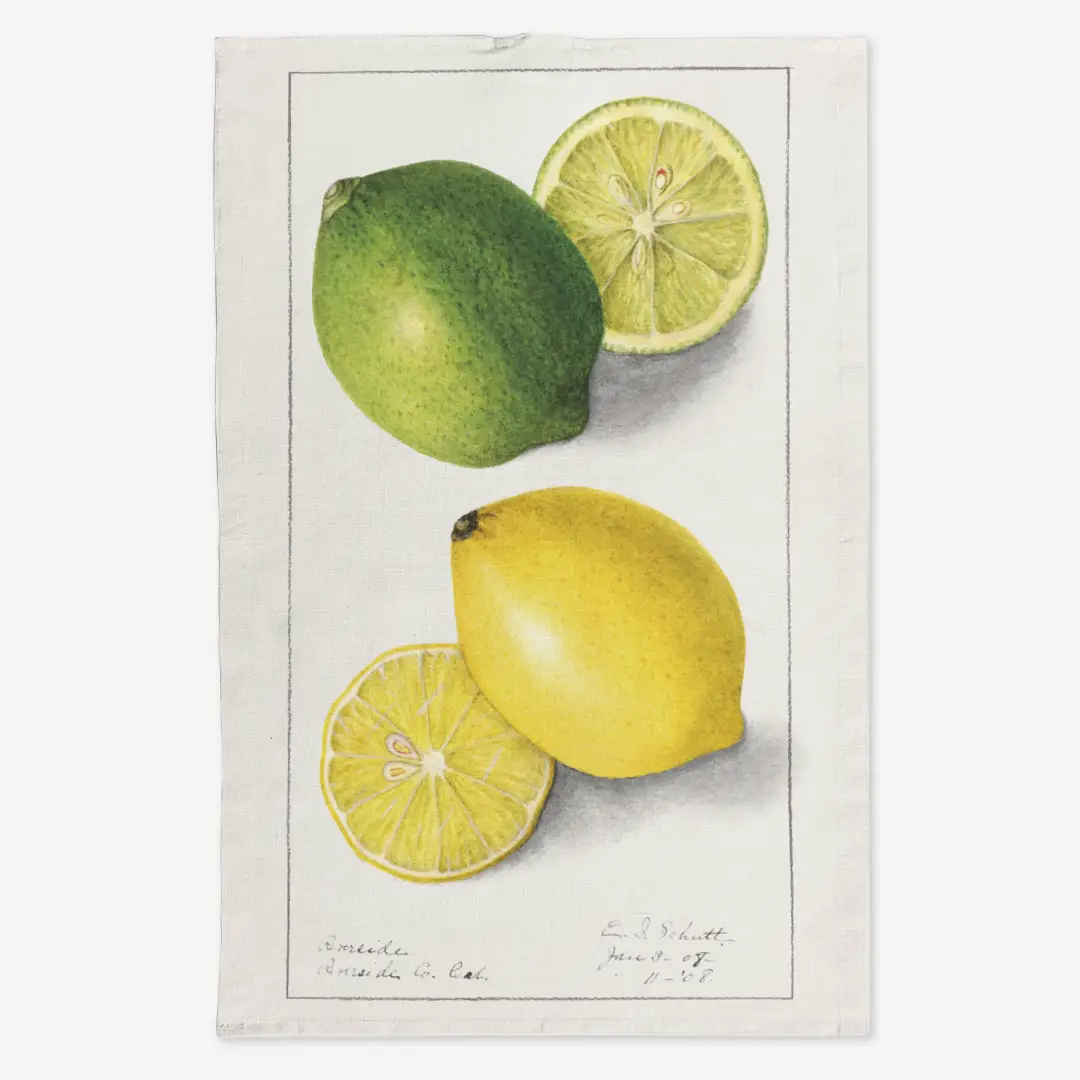 Ręcznik kuchenny - limonki i cytryny