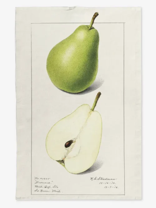 Ręcznik kuchenny zielone gruszki 50x70 cm