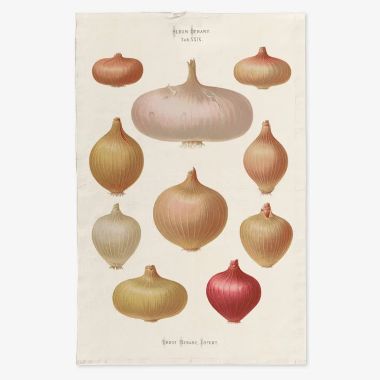 Ręcznik kuchenny cebula 50x70 cm