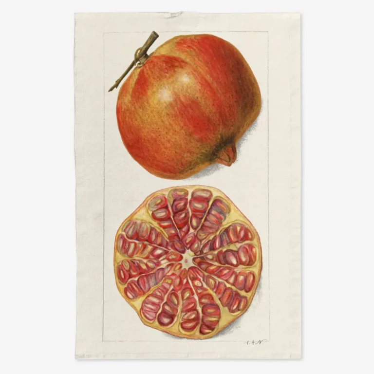 Ręcznik kuchenny Granat 50x70 cm
