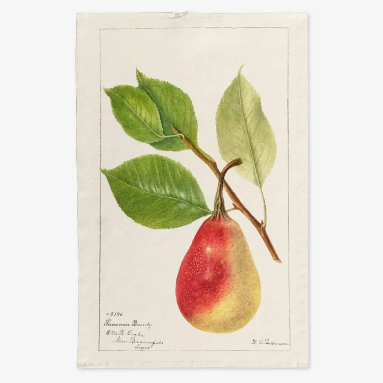 Ręcznik kuchenny Gruszka i liście 50x70 cm