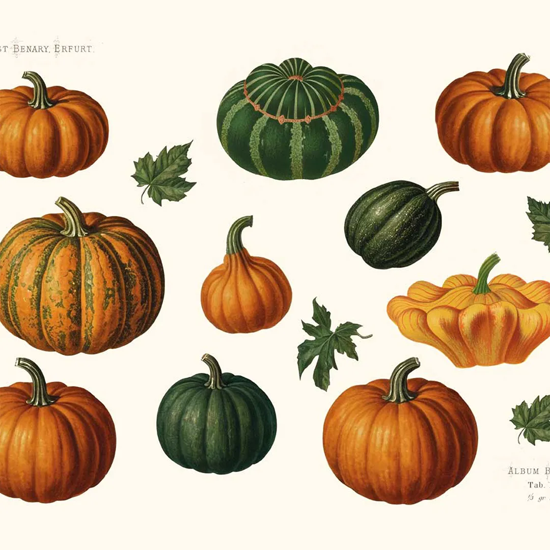 Podkładki Dynie 20x20 cm