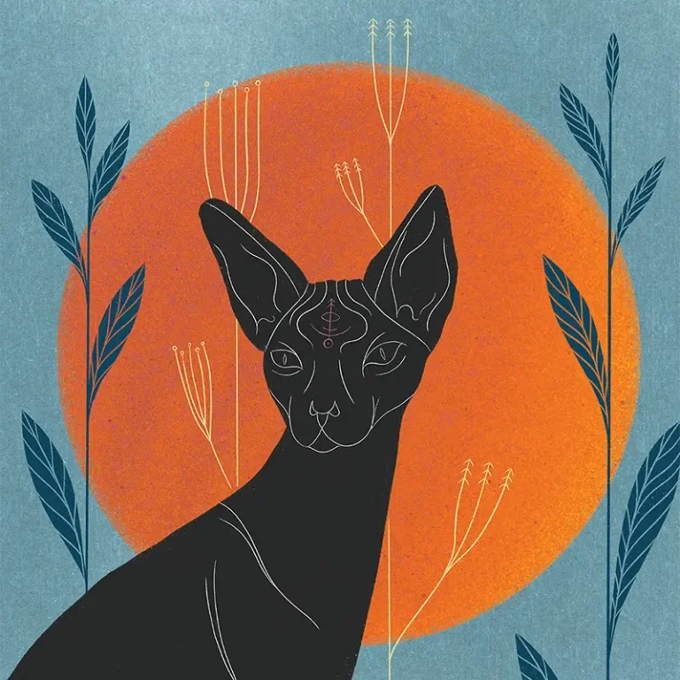 Ada Radzikowska