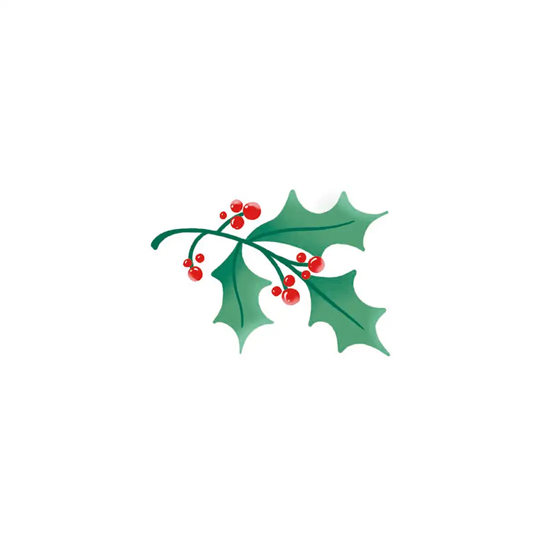 Poduszka świąteczna na krzesło Minimalistyczna jemioła 20x20 cm