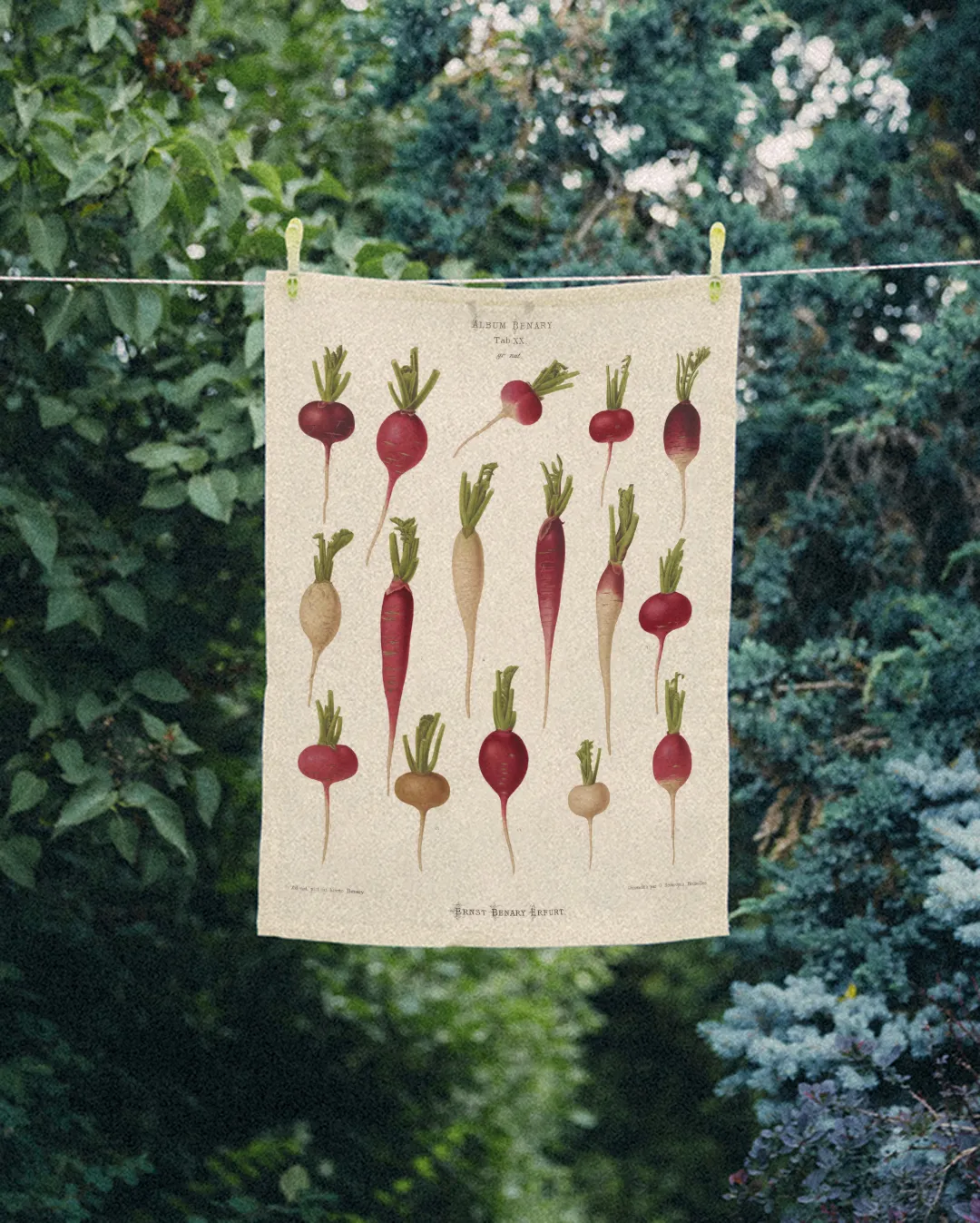 Ręcznik kuchenny - Rzodkiewka - obrazek 2