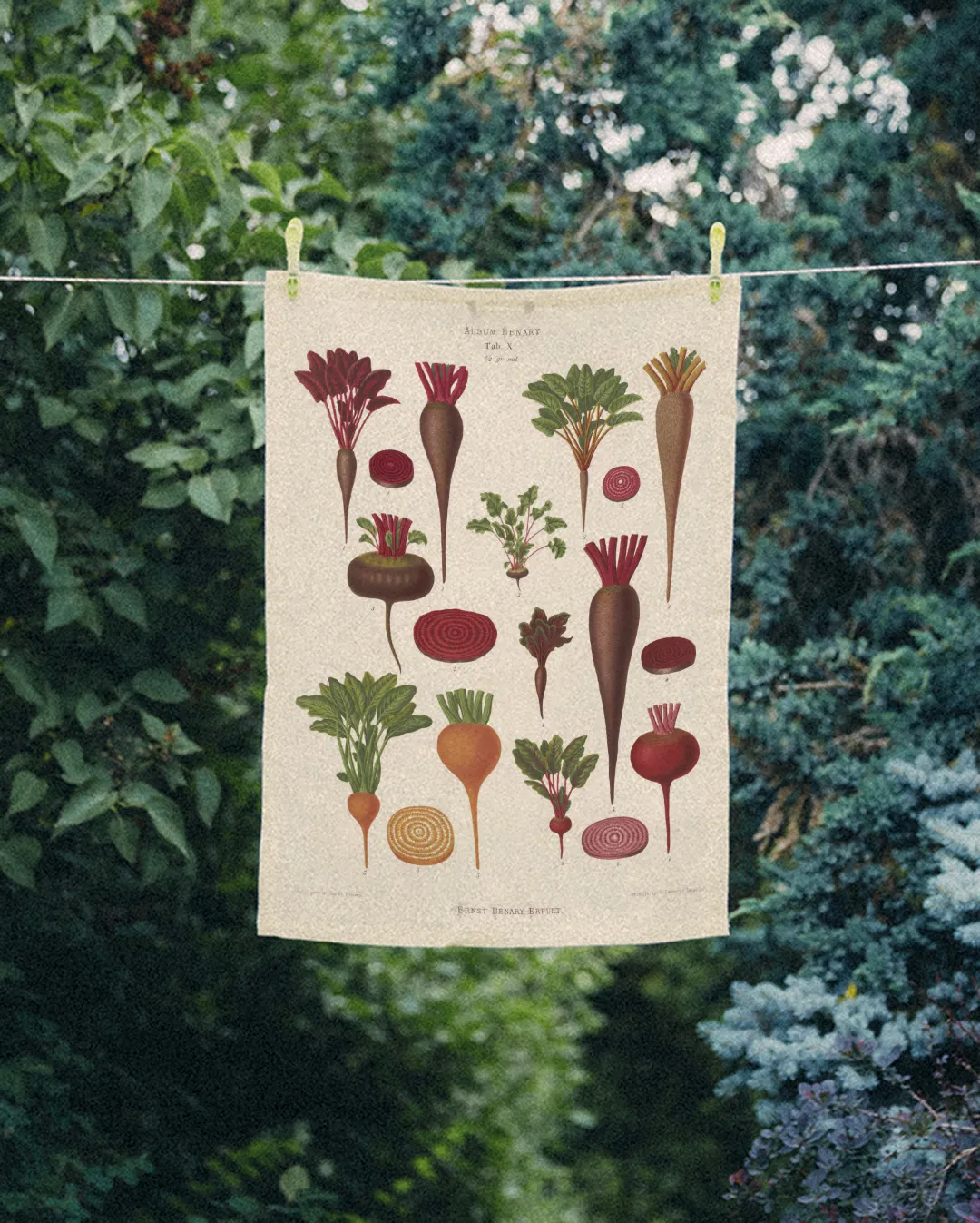 Ręcznik kuchenny - Buraki - obrazek 2