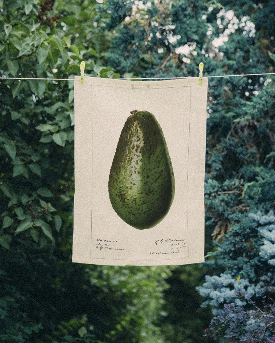 Ręcznik kuchenny - całe awokado - obrazek 2