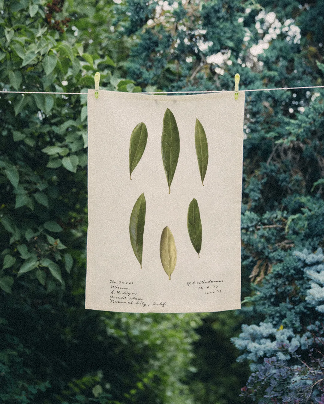 Ręcznik kuchenny - liście - obrazek 2