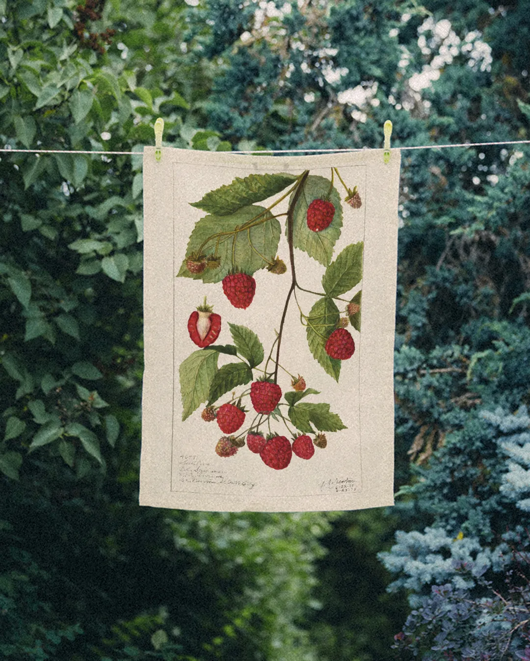 Ręcznik kuchenny - maliny - obrazek 2