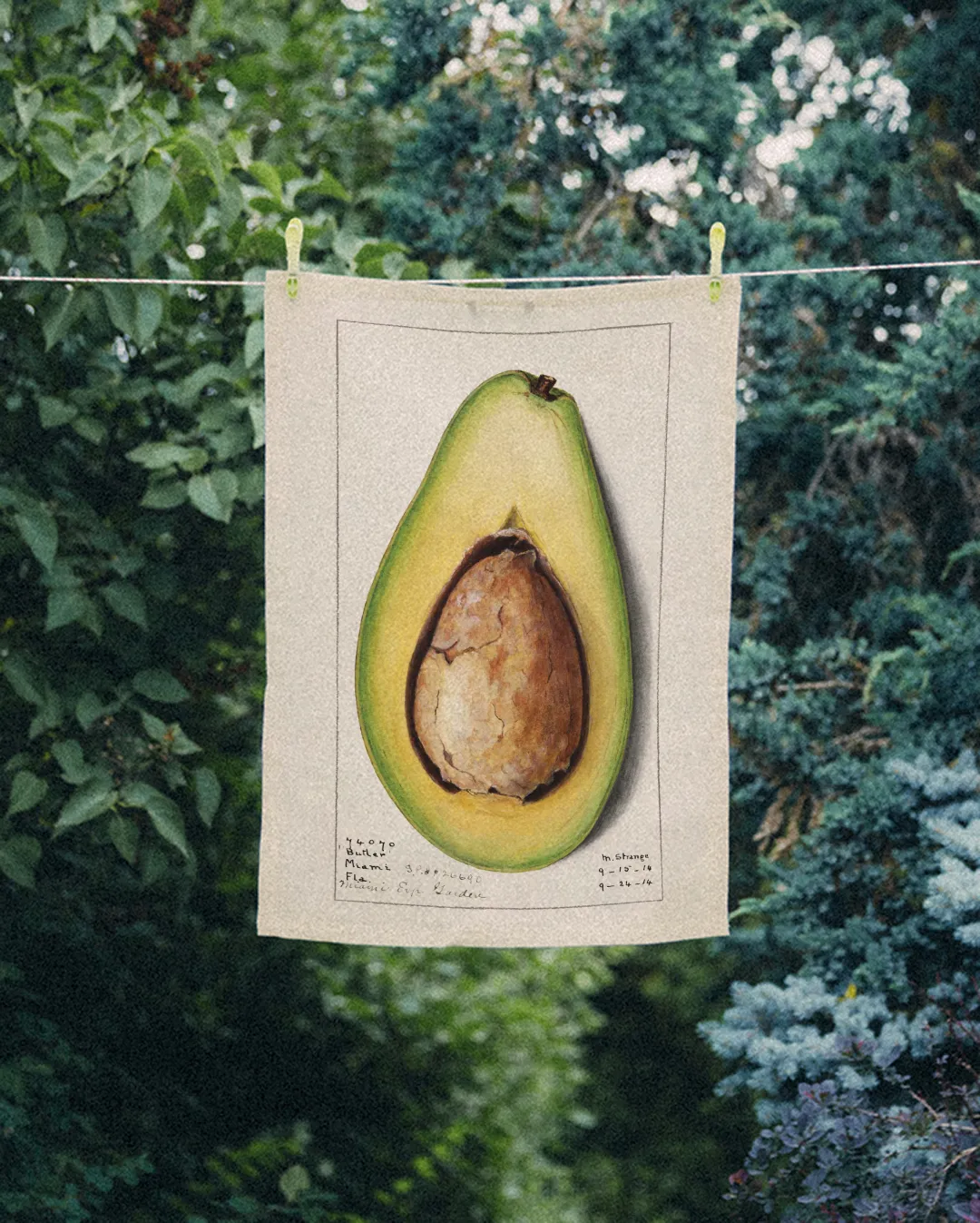 Ręcznik kuchenny - awokado 1 - obrazek 2