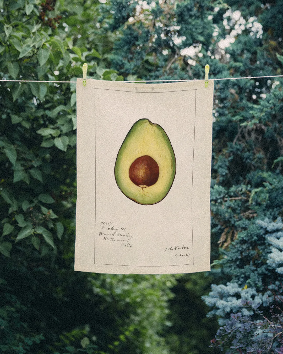 Ręcznik kuchenny - awokado 3 - obrazek 2