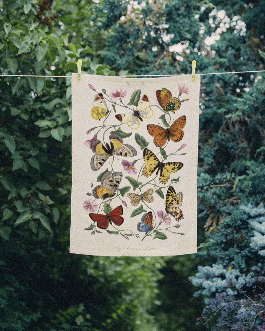 Ręcznik kuchenny - kolorowe motyle - obrazek 2