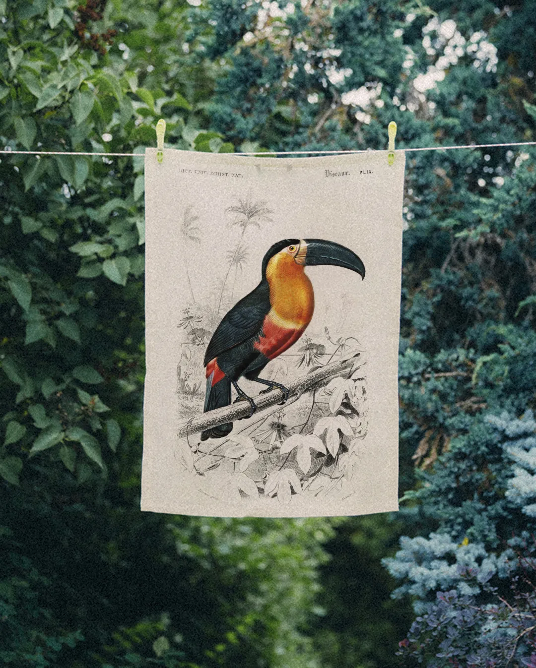 Ręcznik kuchenny - tukan - obrazek 2