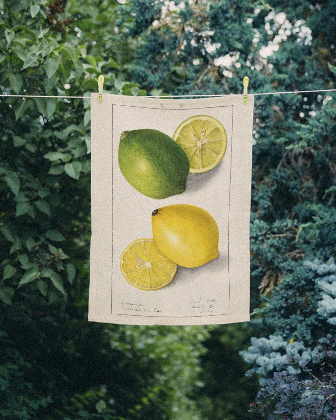 Ręcznik kuchenny - limonki i cytryny - obrazek 2