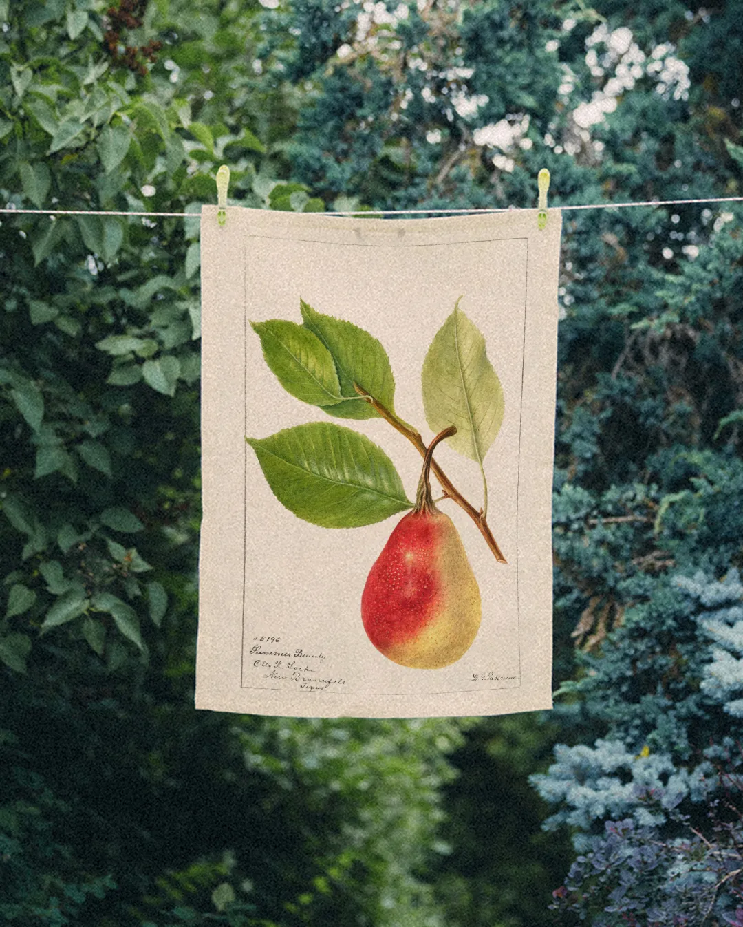 Ręcznik kuchenny - Gruszka i liście - obrazek 2