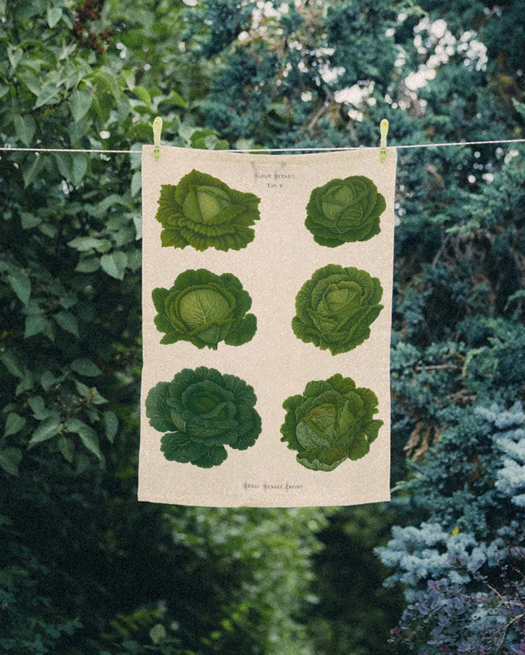 Ręcznik kuchenny - Kapusta - obrazek 2