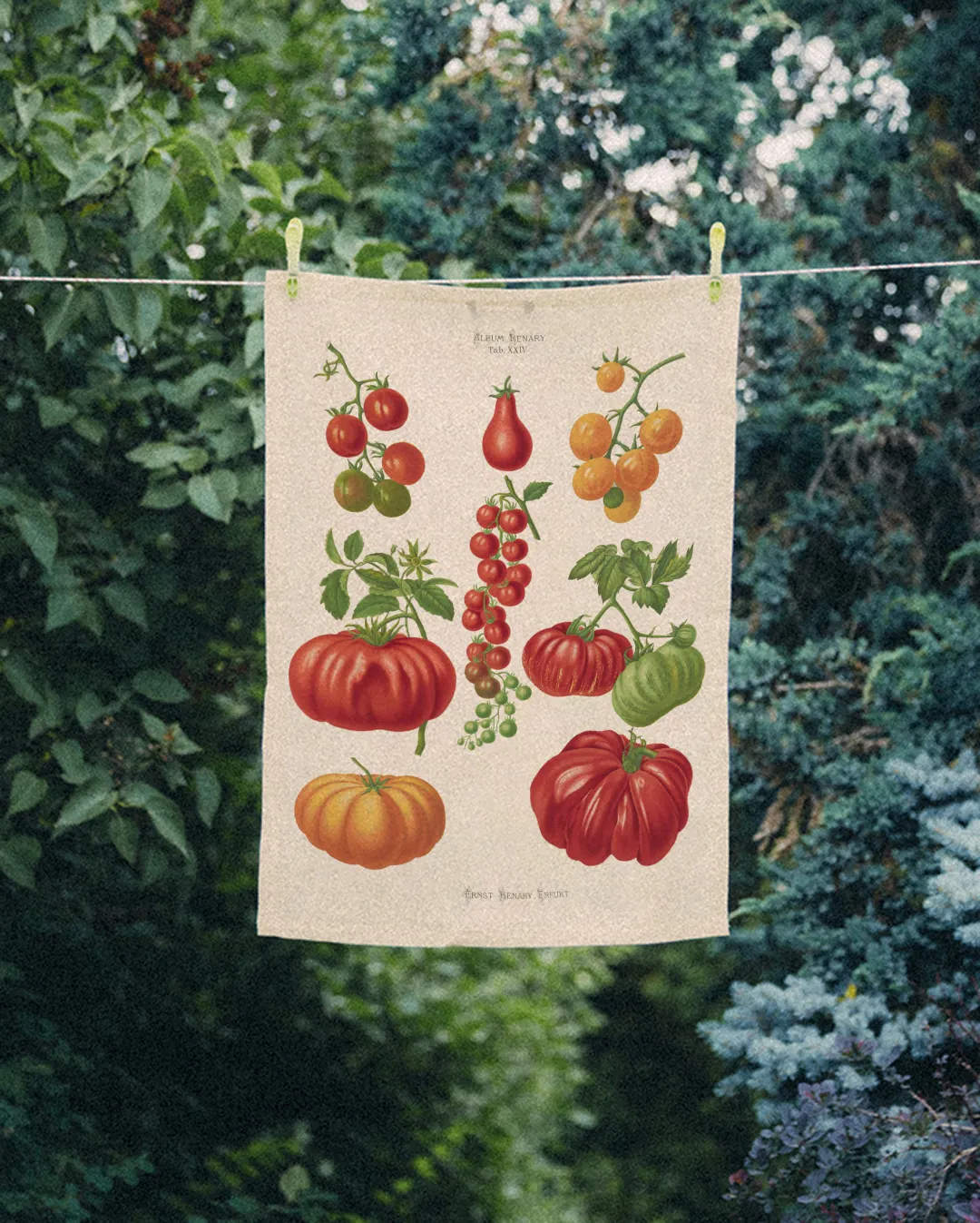 Ręcznik kuchenny - Pomidory - obrazek 2