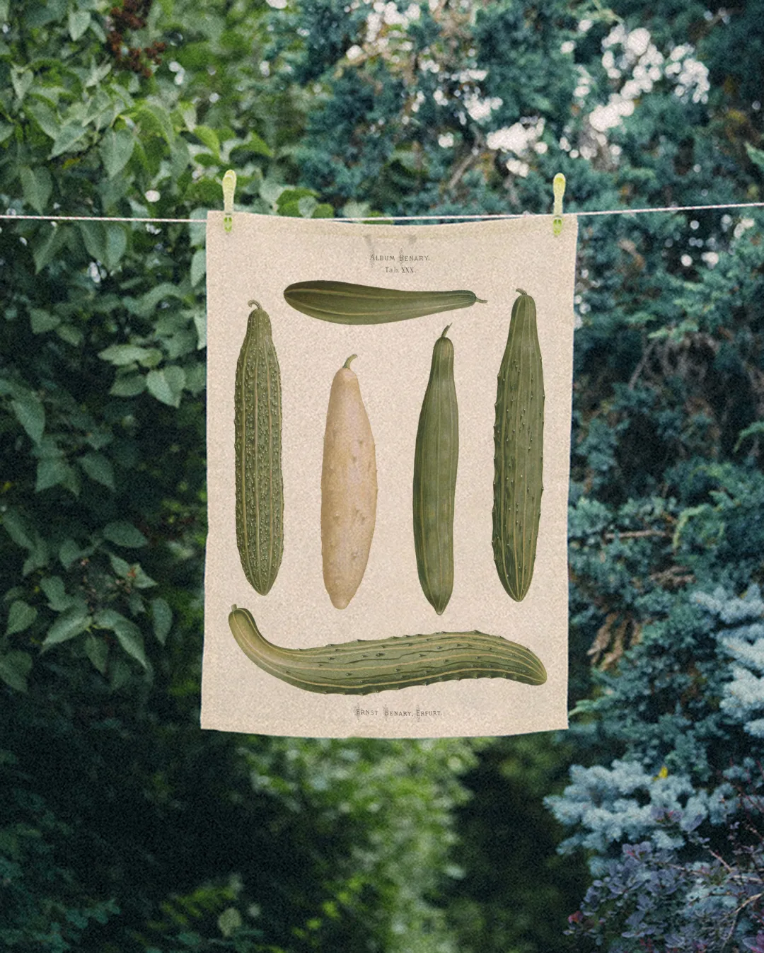 Ręcznik kuchenny - Og&oacute;rki - obrazek 2