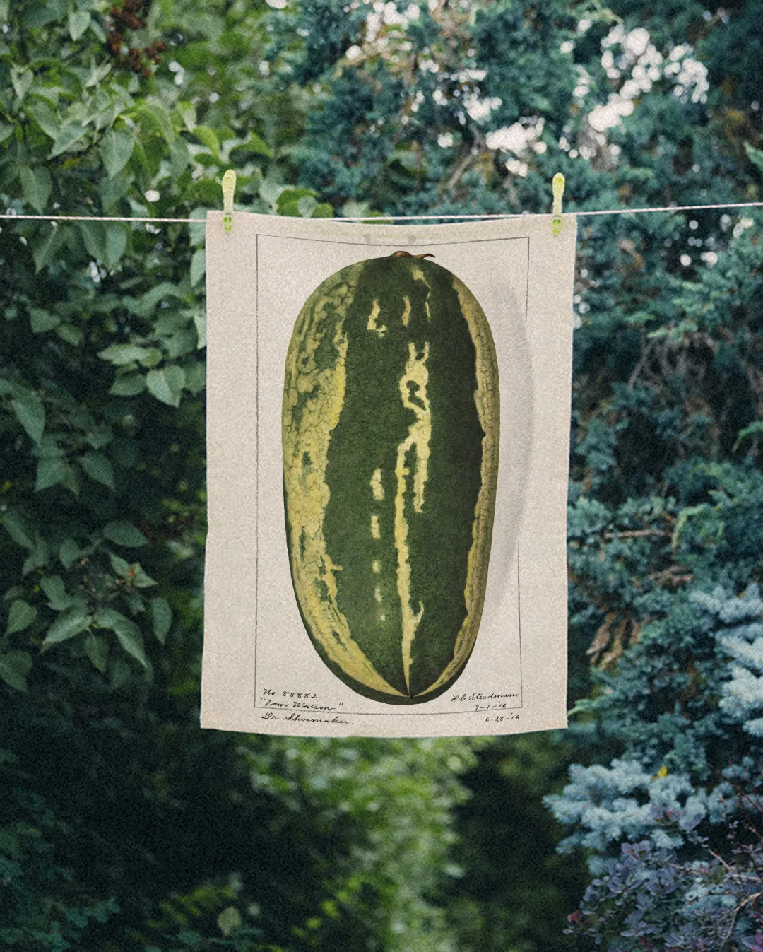 Ręcznik kuchenny - arbuz - obrazek 2