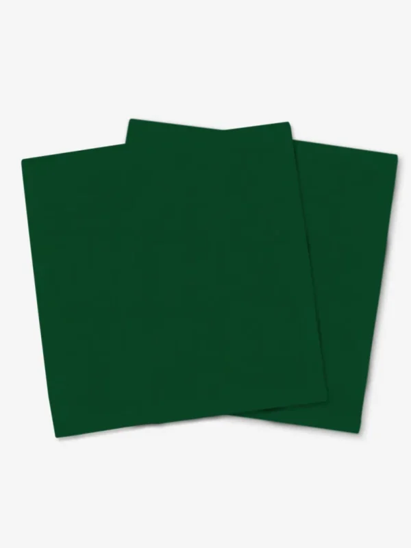 3.0.0_130_Elegancka zieleń_26as_8zi_-_10zi_all_20x20_pt_-_3.1.8_1_40x40_-_stu_-_-_-