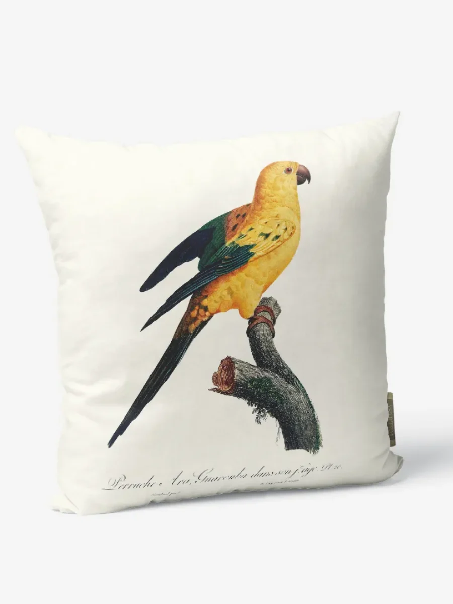 3.0.1_226_Sun parakeet_26as_-_-_1wi;13be;15żó_1p_60x60_pt_p_3.1.1 _2_45x45_pkw_stu_-_-_-