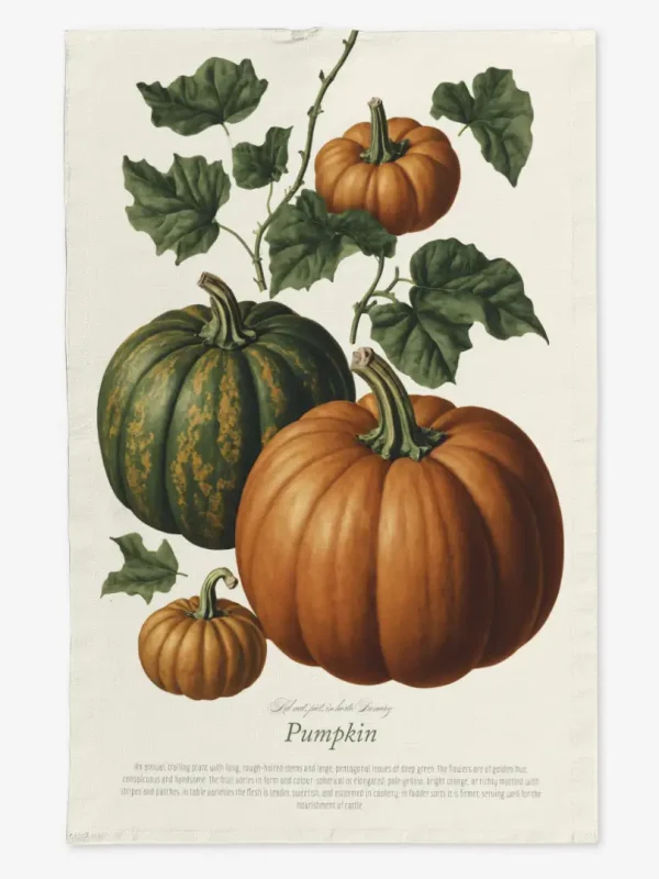 Ręcznik kuchenny Dynie 50x70 cm