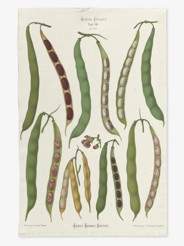 Ręcznik kuchenny Fasola 50x70 cm