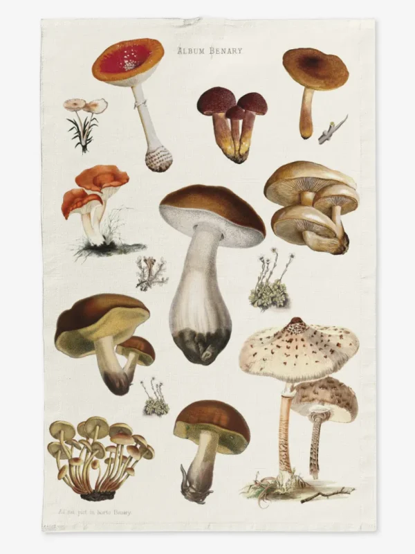 Ręcznik kuchenny Grzyby 50x70 cm