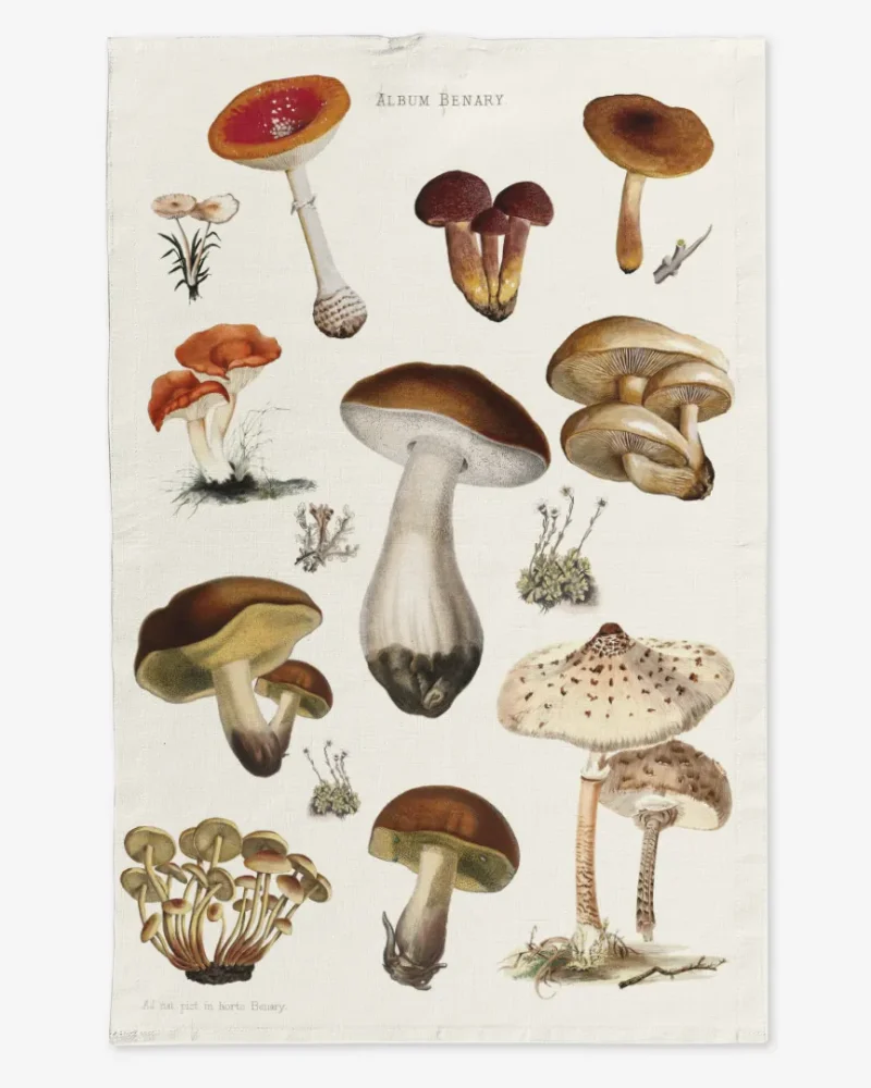 Ręcznik kuchenny Grzyby 50x70 cm