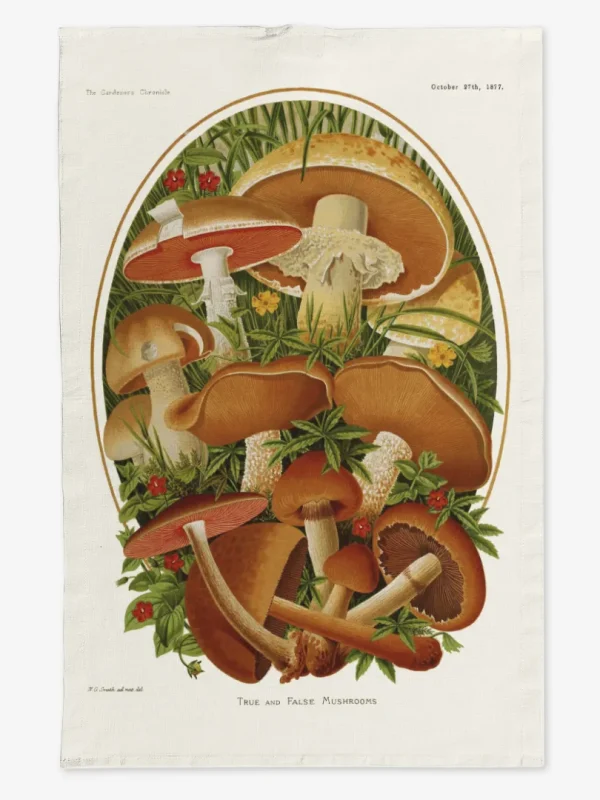 Ręcznik kuchenny Jesienne grzyby 50x70 cm