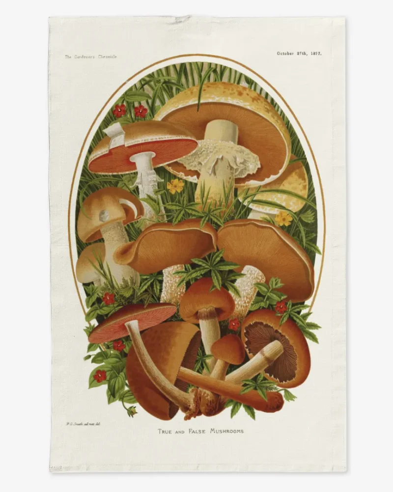 Ręcznik kuchenny Jesienne grzyby 50x70 cm