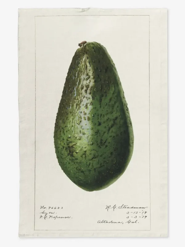 Ręcznik kuchenny całe awokado 50x70 cm